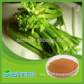 High quality and pure natura dehydrated celery powder with free sample